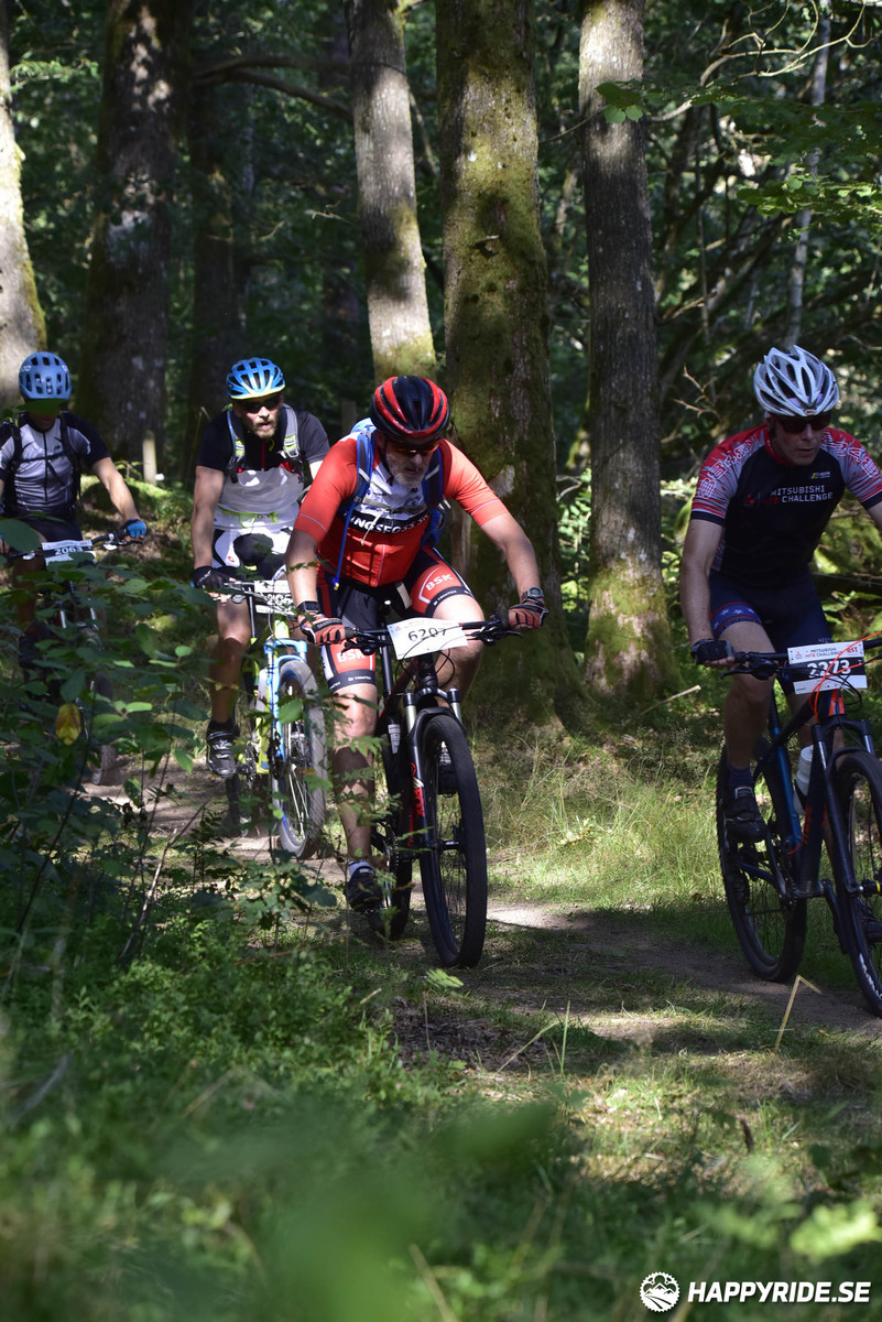 Bild från Bockstensturen 2019